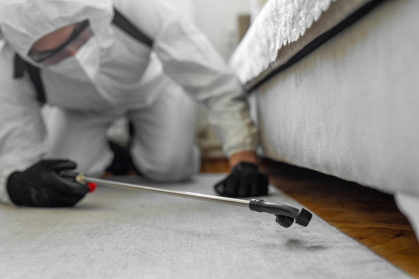 Professional Rodent Control technician working in Belfast, ME