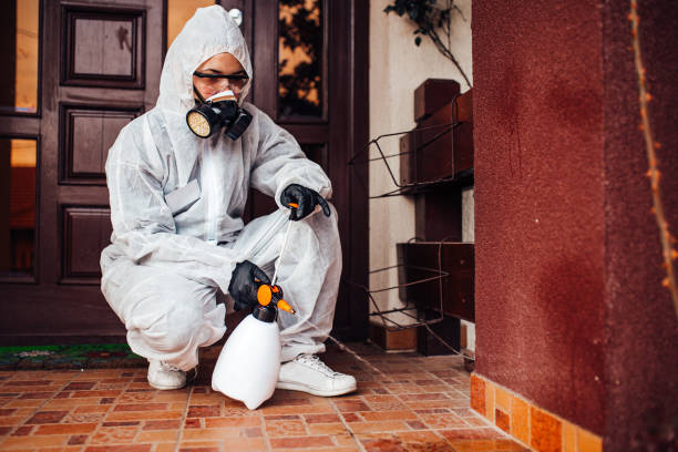 Reliable Rodent Control contractor in Belfast, ME by Nex Pest Control
