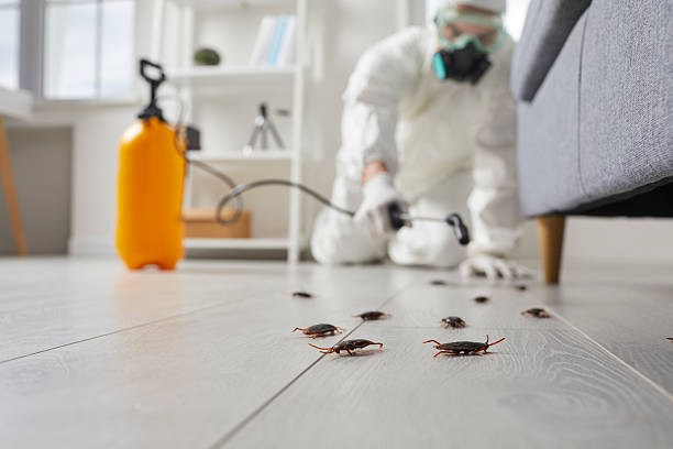 Trusted Mosquito Control service in Belfast, ME - Nex Pest Control