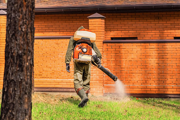 Trusted Termite Control service in Belfast, ME - Nex Pest Control